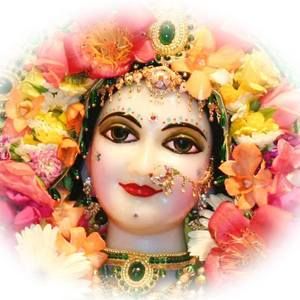 Meet your Posher, Tom